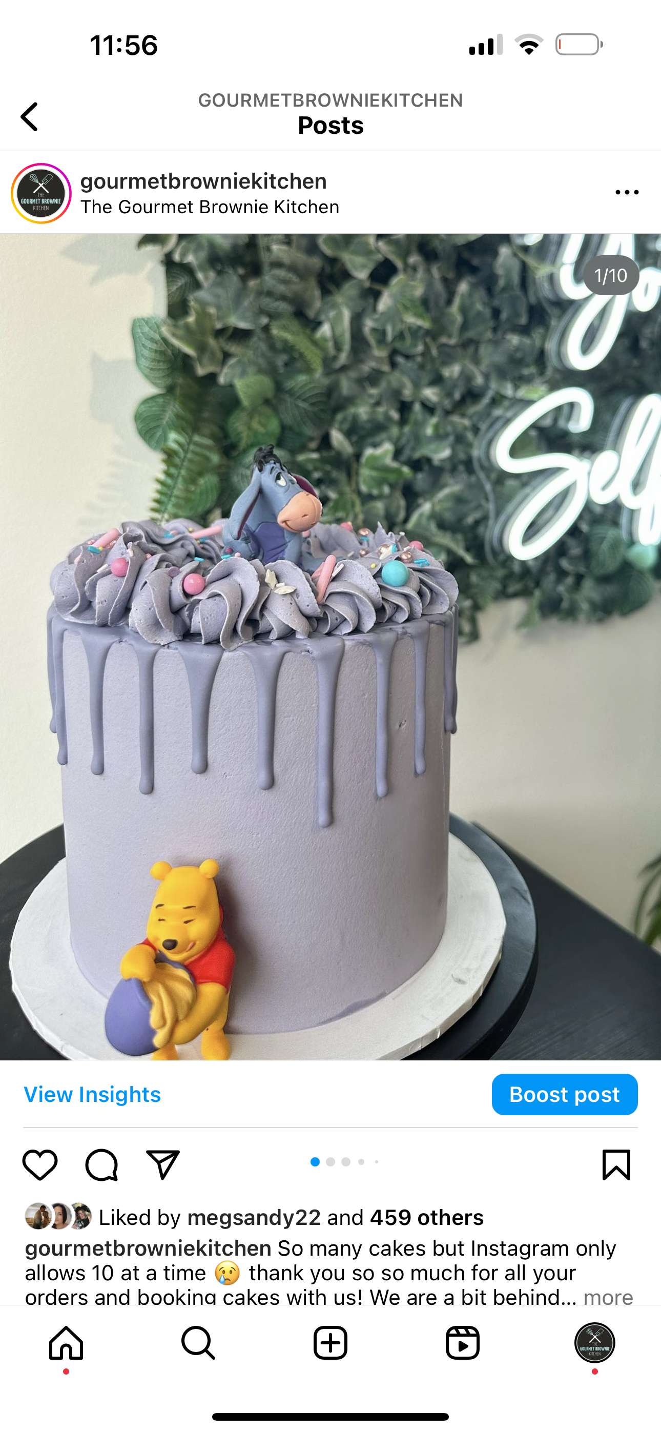 Celebration Cake